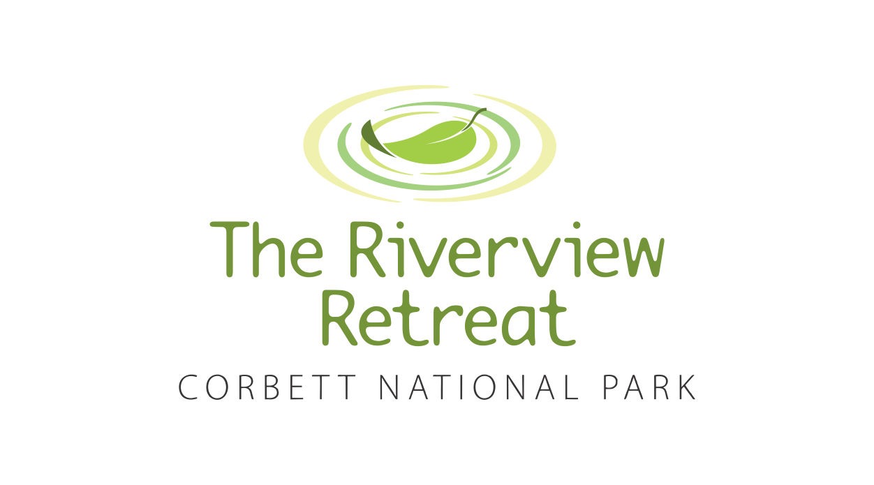 whatsapp image 2025 12 26 at 5.12.53 pm (11)